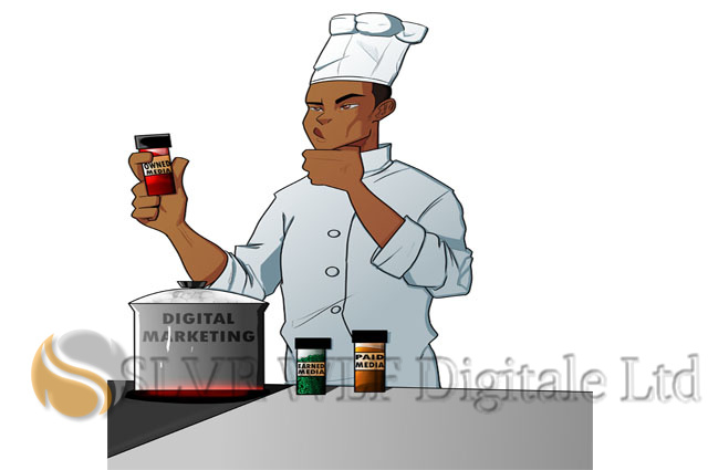 A chef deciding what spice to use just as a business owner makes decisions on owned media.