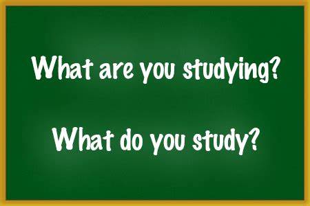 What did you study